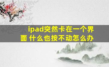 ipad突然卡在一个界面 什么也按不动怎么办